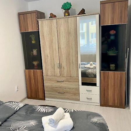 Apartament Irina Braşov Eksteriør bilde