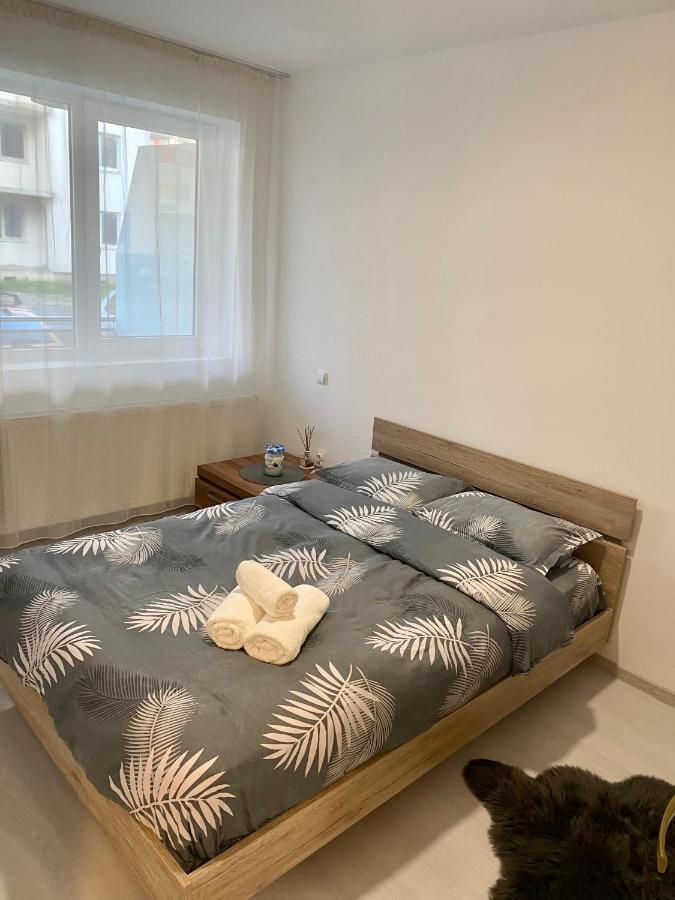 Apartament Irina Braşov Eksteriør bilde